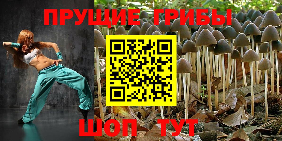 Богданович  Галлюциногенные грибы мицелий  Вход с VPN 